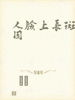 人脸上长斑的原因