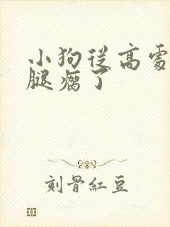 小狗从高处摔下腿瘸了