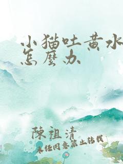 小猫吐黄水拉稀怎么办