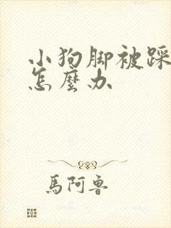 小狗脚被踩瘸了怎么办