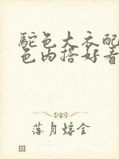 驼色大衣配深灰色内搭好看吗