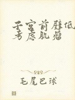 子宫前壁低回声考虑肌瘤