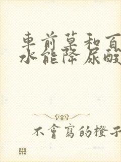 车前草和百合泡水能降尿酸吗