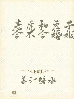 老虎和兔子属相合不合婚姻