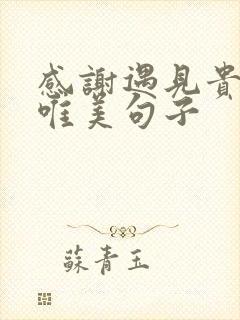 感谢遇见贵人的唯美句子