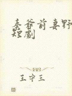 秦爷前妻野又飒短剧