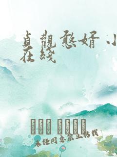 贞观憨婿 小说在线