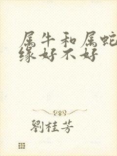 属牛和属蛇的姻缘好不好