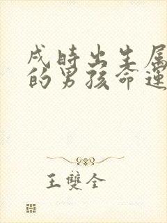 戌时出生属虎的的男孩命运