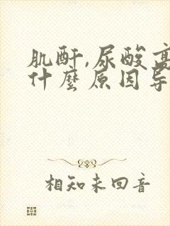 肌酐,尿酸高是什么原因导致的