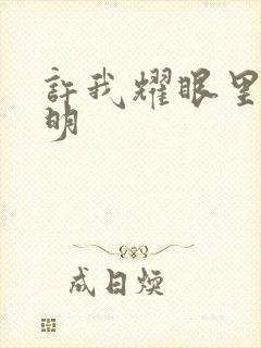 许我耀眼里沈皓明