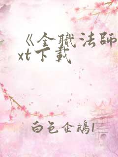 《全职法师》txt下载