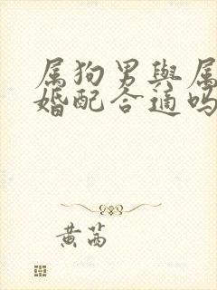 属狗男与属牛女婚配合适吗