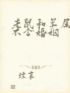 老鼠和羊属相合不合婚姻