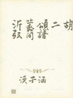 沂蒙颂二胡52弦简谱