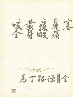 咳黄痰鼻塞头疼全身酸痛