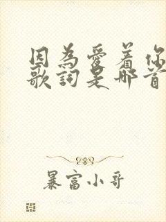 因为爱着你的爱歌词是哪首歌