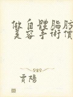 做自体脂肪丰胸美容手术价钱