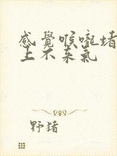 感觉喉咙堵得慌上不来气