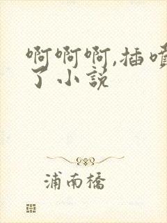 啊啊啊,插喷水了小说