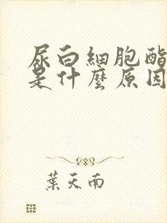 尿白细胞酯酶高是什么原因