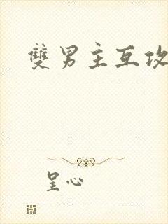 双男主互攻文