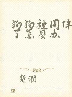 狗狗被同伴咬伤了怎么办