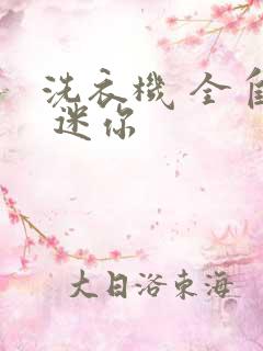 洗衣机 全自动 迷你