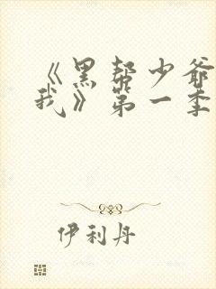 《黑帮少爷爱上我》第一季