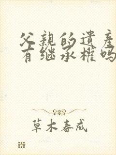 父亲的遗产孙子有继承权吗