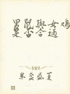 男鼠与女鸡婚配是否合适