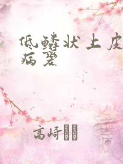 低鳞状上皮细胞病变