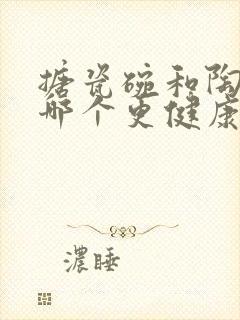 搪瓷碗和陶瓷碗哪个更健康