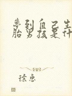 梦到自己生双胞胎男孩是什么预兆