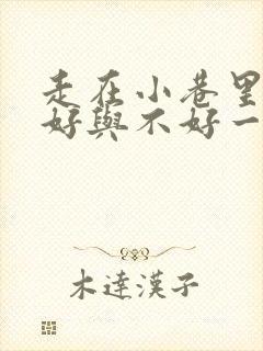 走在小巷里心情好与不好一段话