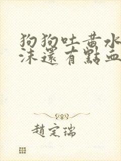 狗狗吐黄水带泡沫还有点血