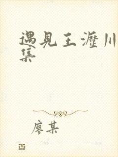 遇见王沥川22集