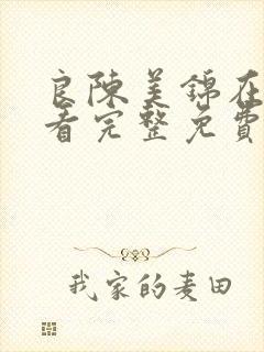 良陈美锦在线观看完整免费版电视剧