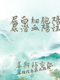 尿白细胞阳性,尿潜血阳性是怎么回事