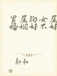 男属狗女属牛的婚姻好不好