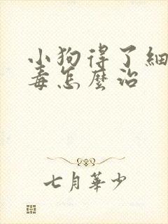 小狗得了细小病毒怎么治