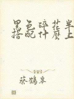 黑色碎花半身裙搭配什么上衣好看