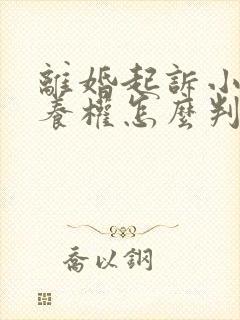 离婚起诉小孩抚养权怎么判