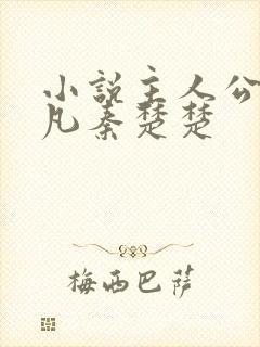 小说主人公叶不凡秦楚楚