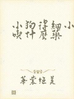 小狗得细小怎么吃什么药