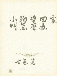 小狗带回家一直叫怎么办