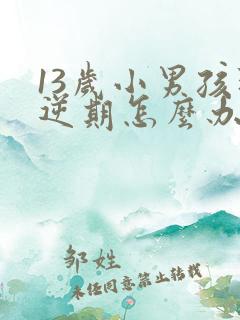 13岁小男孩叛逆期怎么办