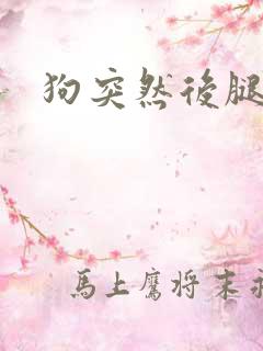 狗突然后腿无力