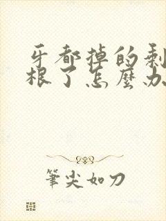 牙都掉的剩下牙根了怎么办