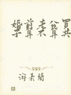 婚前老公买的房子算不算共同财产